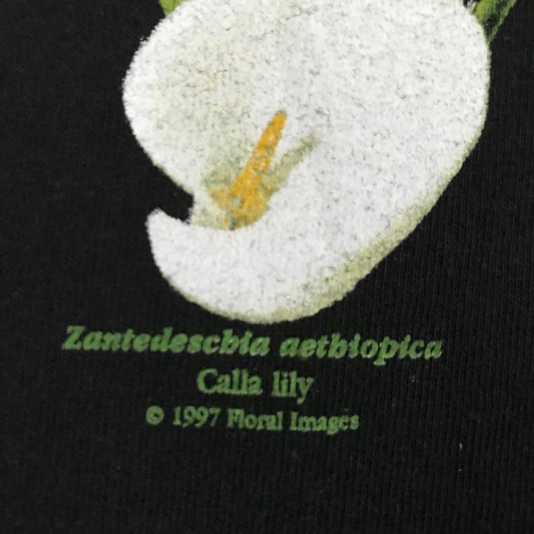 激レア カラーリリー 花 1997年製ヴィンテージ ロンT - メルカリ