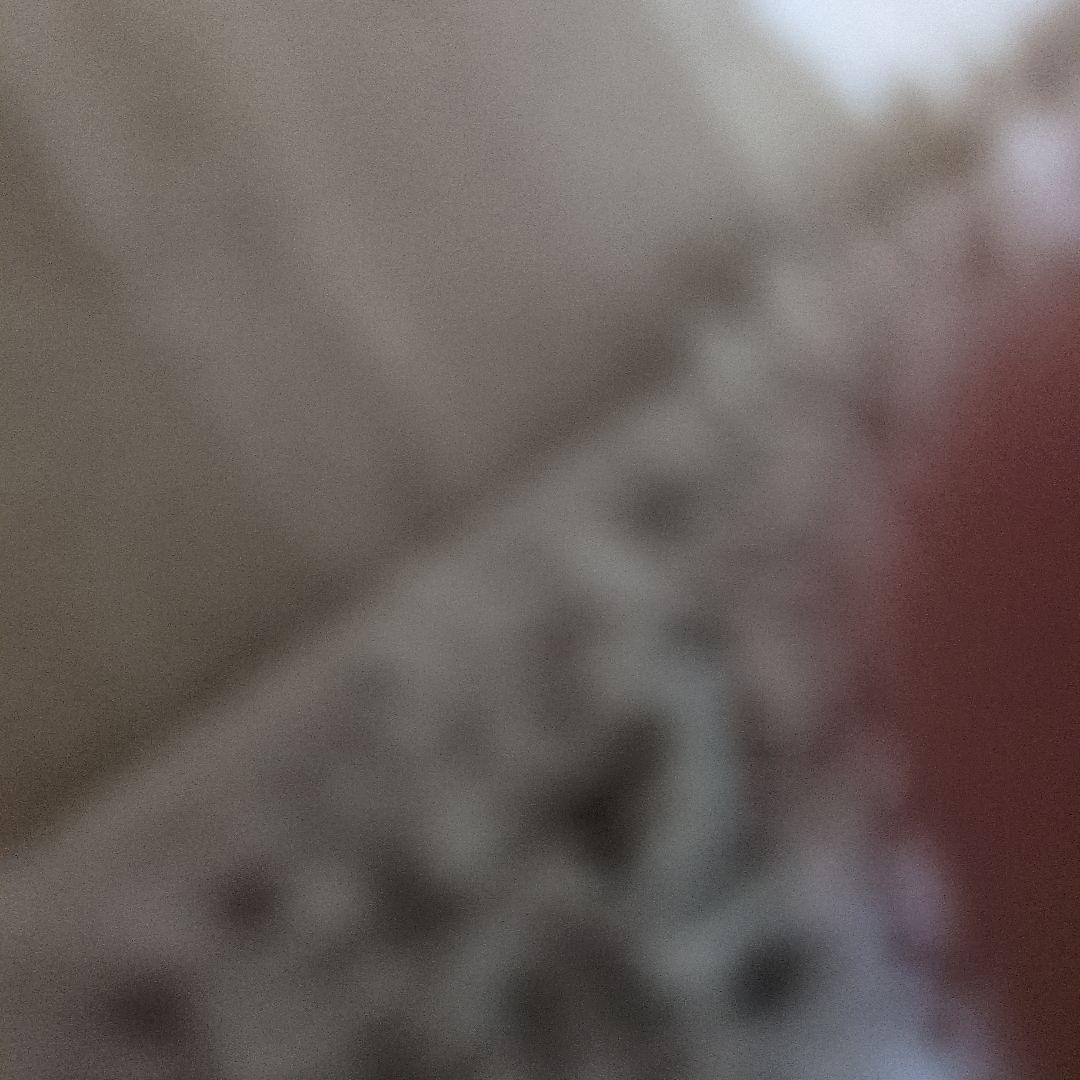 けけけけけけけけけけけけけけけけけけけけけけけけけけけけけけけけけけけけけけけい けけ (@keke0630) • Facebook