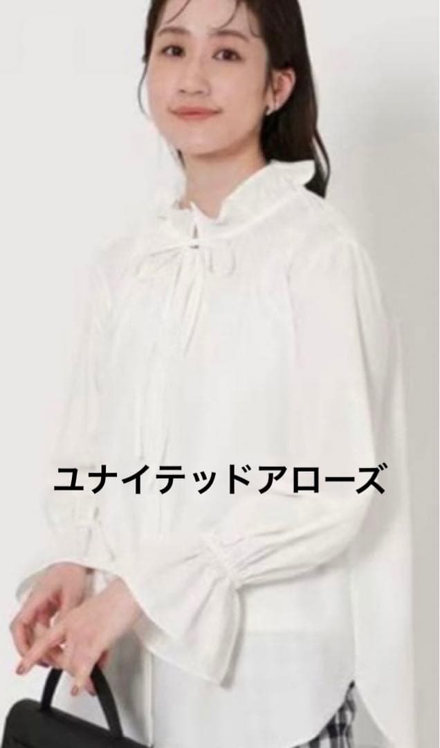 ユナイテッドアローズ　フリルカラー フレアスリーブブラウス　フリーサイズ UNITED ARROWS フリルカラー フレアスリーブ ブラウス （LT.BLUE