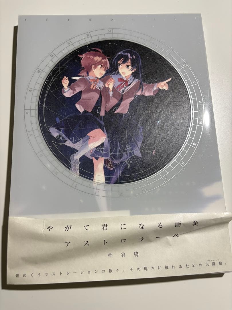 やがて君になる 画集 アストロラーベ 初版 仲谷鳰 Amazon.co.jp: やがて君になる画集 アストロラーベ : 仲谷 鳰: 本