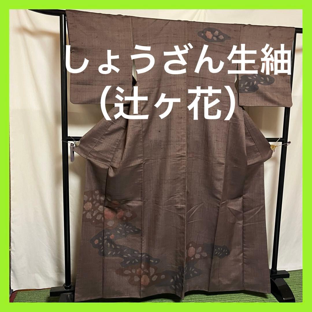 ☘️早い者勝ち☘️【国宝品】●しょうざん生紬●草木染●紬●着物 卸問屋本決算SALE】 【単衣・夏着物】【しょうざん】 特選本手加工友禅