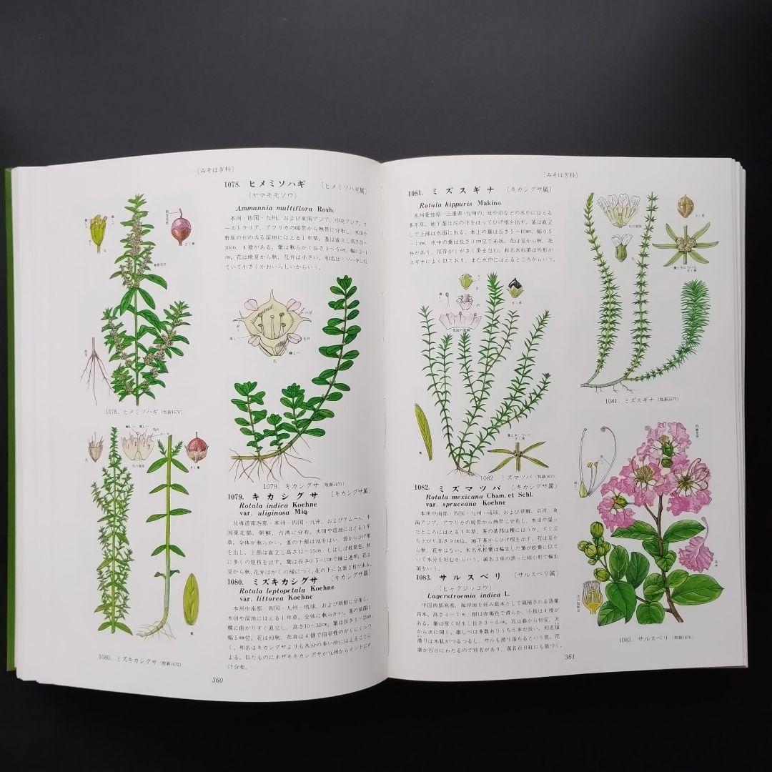 原色牧野植物大図鑑 正・続 2揃い 原色牧野植物大図鑑 正・続