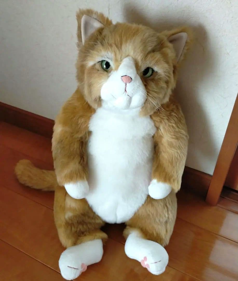 カドリー cuddlyわさ美 Wasabi 「手編みのカーディガン付き」 楽天市場】ぬいぐるみ 猫 【わさ美Wasabi】Cuddly カドリー）こだわり