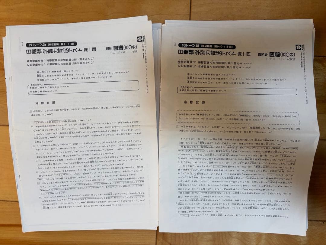 日能研　学習力育成テスト 5年　2022年　通年分 2024年度 日能研5年生 学習力育成テスト、特別テスト - メルカリ