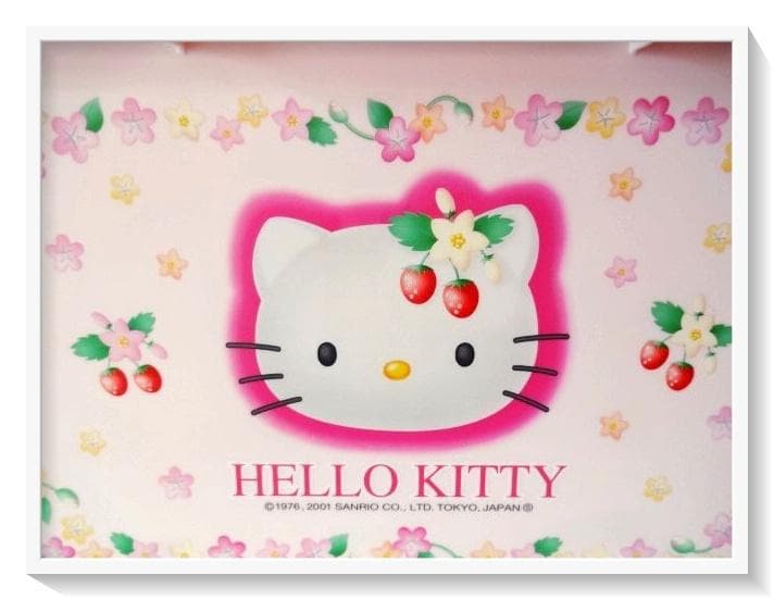 平成レトロ 当時物 キティ野いちご フタ付き収納ボックス 2001年製