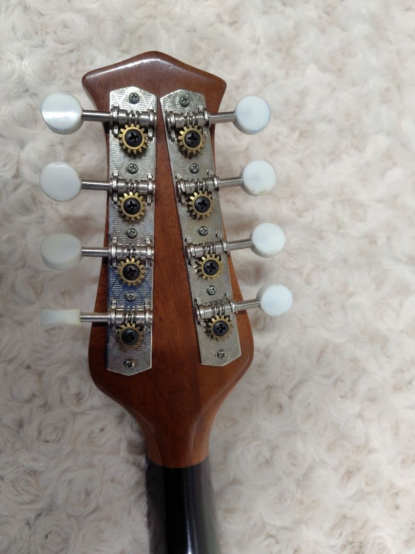 スズキ マンドリン No.70 KISO HUKUSHIMA ハードケース付き - メルカリ