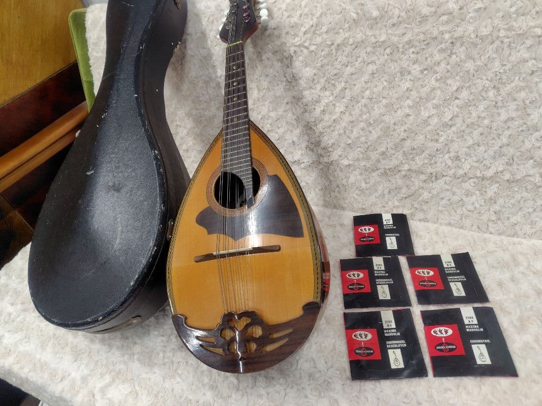 スズキ マンドリン No.70 KISO HUKUSHIMA ハードケース付き - メルカリ