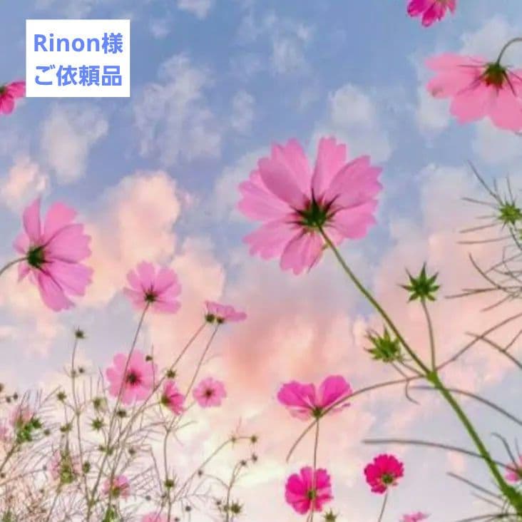 Rinonꕤ*.゜K様 ご依頼品 天然石 ブレスレット等 Rinonꕤ*.゜K様 ご依頼品 天然石 ブレスレット等 Rinonꕤ*.゜K様 ご