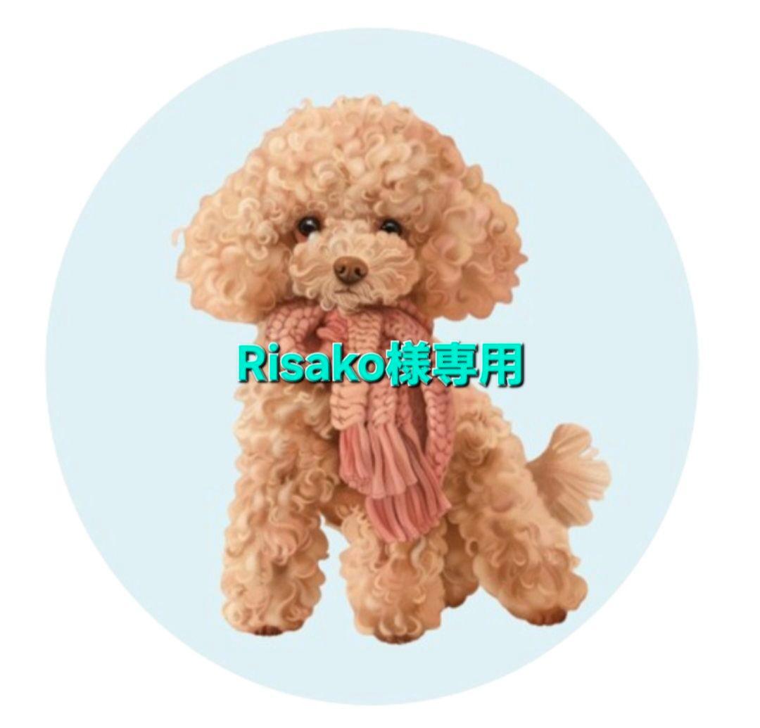 RisakoiQOSケースオーダーページ BRIGHTECH ブライテック Lサイズ LLサイズ スーツケース BRO-28BX BRO