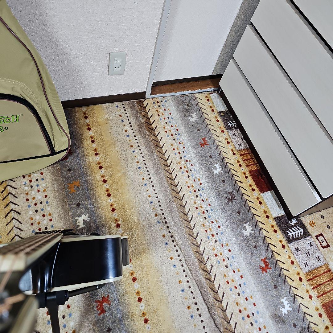 木曽鈴木バイオリンNo.6ピックギター1962年製GAETSCHキグバック付き