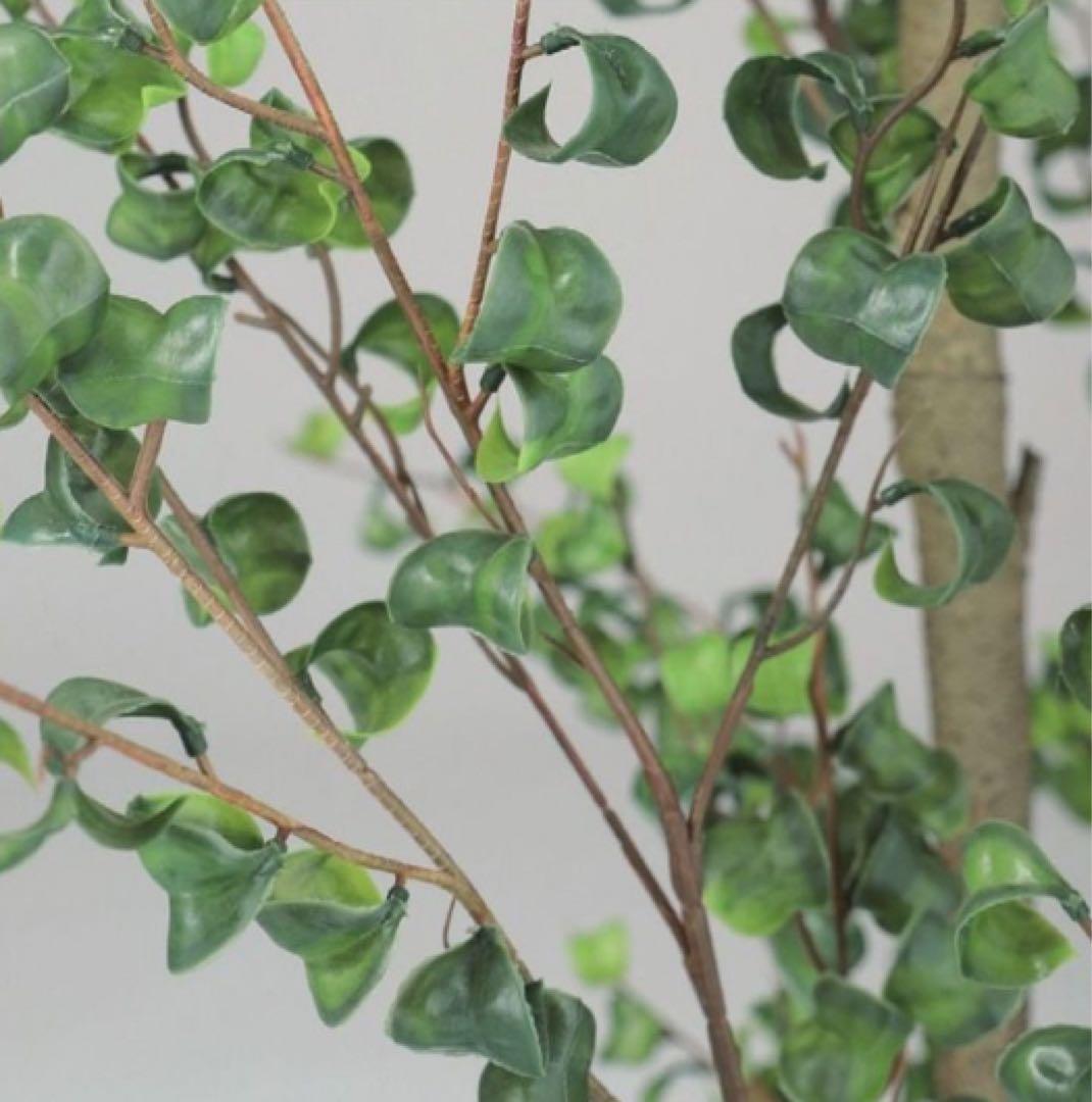 光触媒 人工観葉植物 フェイクグリーン 東北ベンジャミンバロック120