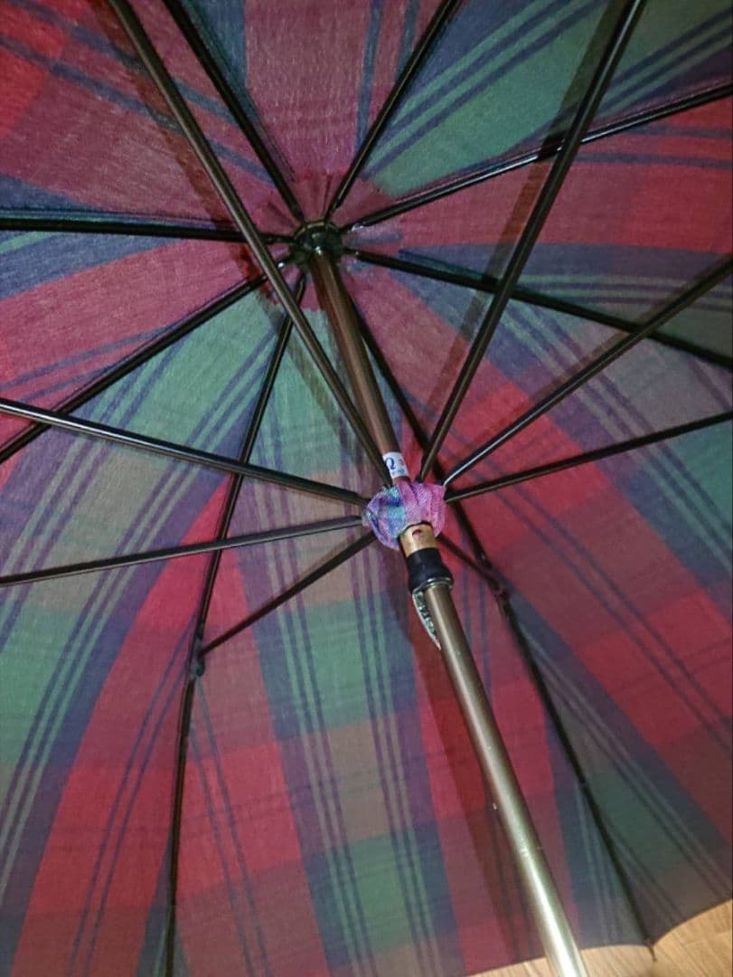 処分価格☆】ヴィヴィアンウエストウッド 晴雨兼用 傘 ビンテージ