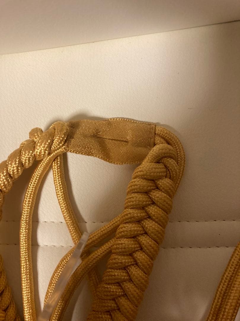 東ドイツ 東独 将官飾緒 ペン先交換済み ドイツ軍