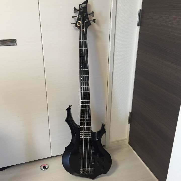 ESP FOREST-STD-SL5 最終値下げ！ - メルカリ