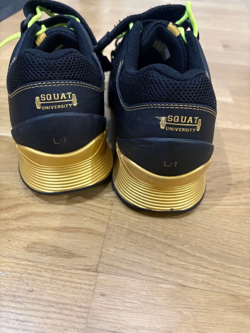 最終価格　TYR（ティア）L-1リフター 25.9cm