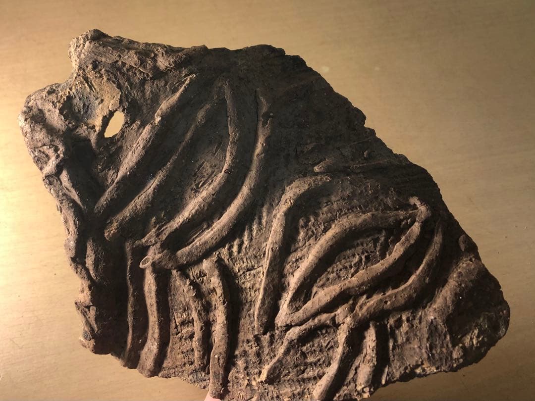 縄文土器の欠片 No.531」です。