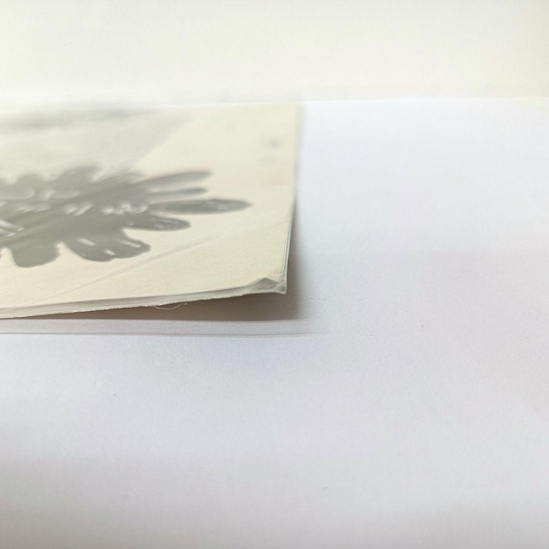 2.『聖闘士星矢』複製原稿（2枚セット）〈WJ50周年展VOL.1〉 未開封