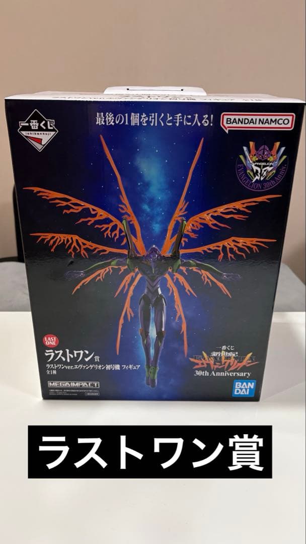 一番くじ エヴァンゲリオン C賞 綾波レイ ラストワン賞