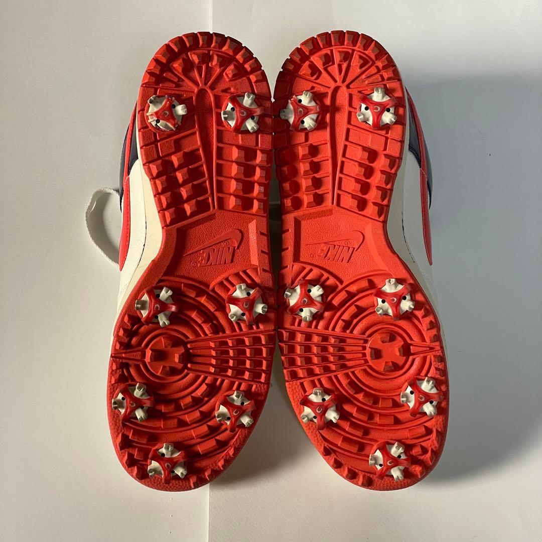 シューズ(男性用) NIKE GOLF DUNK NG SL / 28.5cm