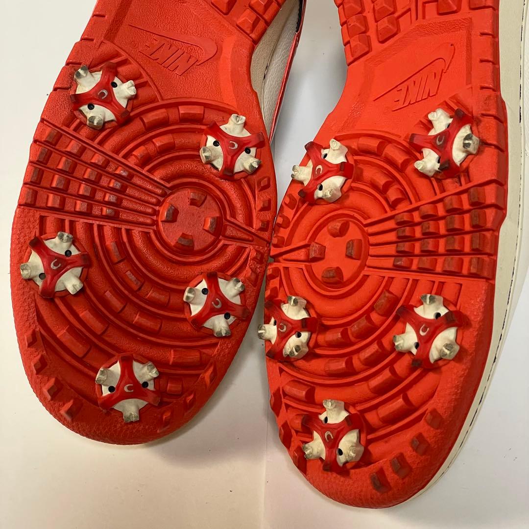 シューズ(男性用) NIKE GOLF DUNK NG SL / 28.5cm