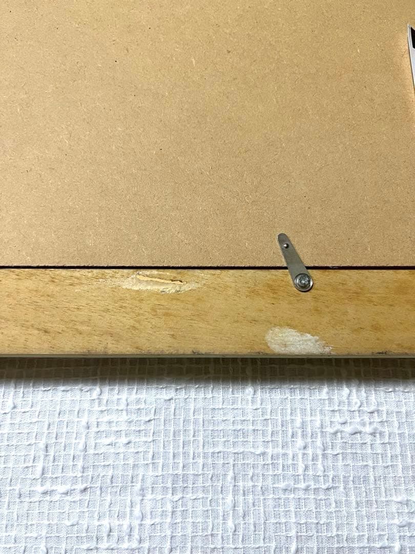 限定品‼️】橋本不二子作 「Red Plumを頂いて」 限定版画 直筆サイン