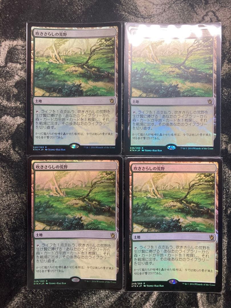 吹きさらしの荒野 foil 4枚 - メルカリ