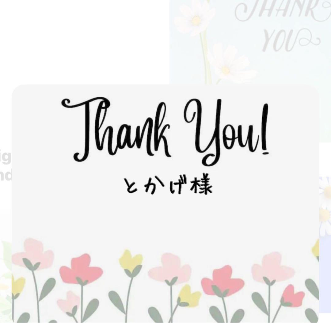 とかげ様 リクエスト 2点 まとめ商品 k様 リクエスト 2点 まとめ商品 - メルカリ