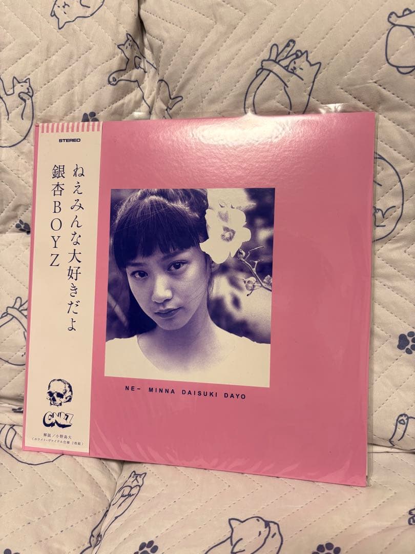 即購入OK 完全未使用品 銀杏BOYZ ねえみんな大好きだよ レコード LP 銀杏BOYZ / ねえみんな大好きだよ 【カセット】 | CASSETTE TAPE