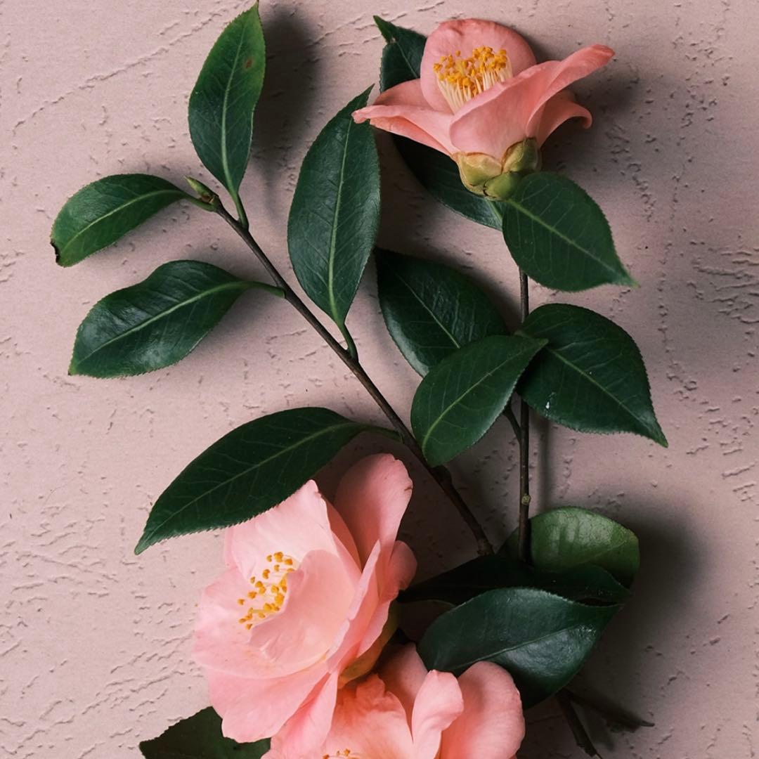 【zigensanさま専用】 MIZUNO（ミズノ） 2026モデル 厚底 ランニングシューズ ネオゼン2 NEO