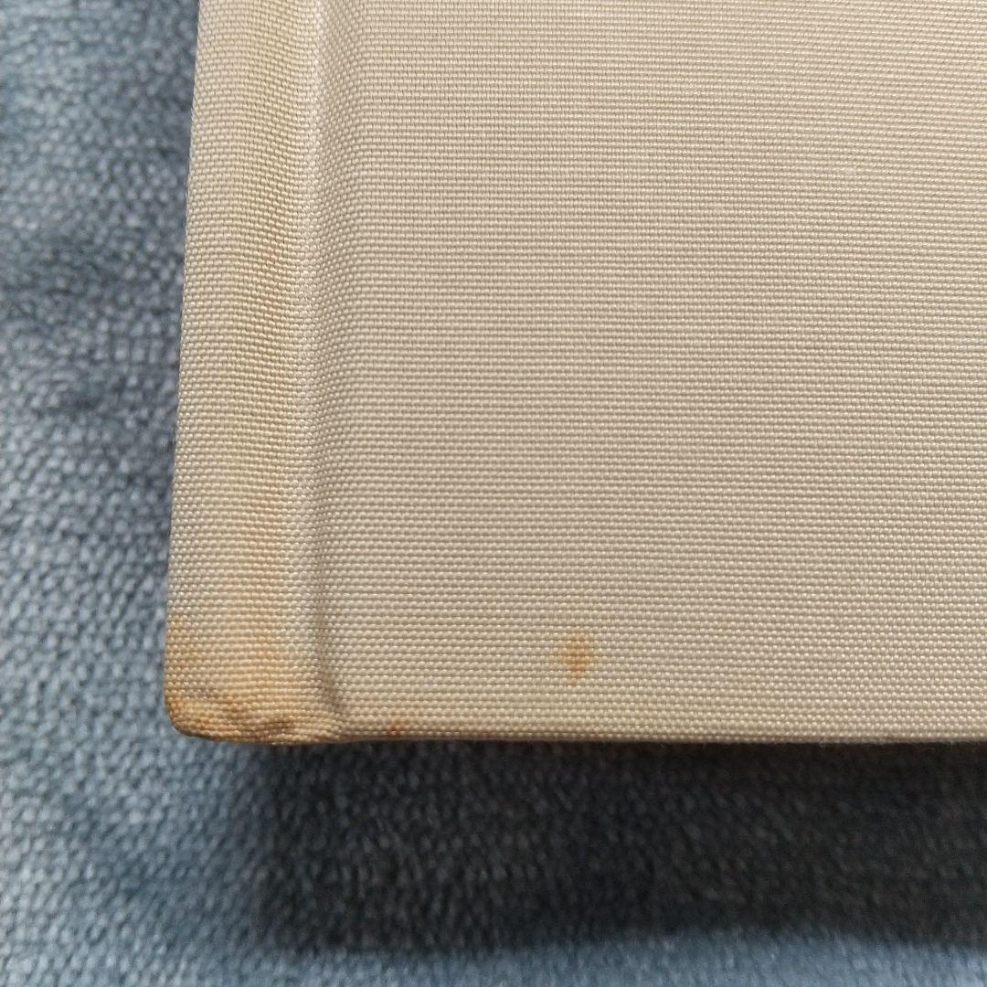 平沢進 SP-2 : タイのニューハーフ?いいえ「第2の女性」です - メルカリ