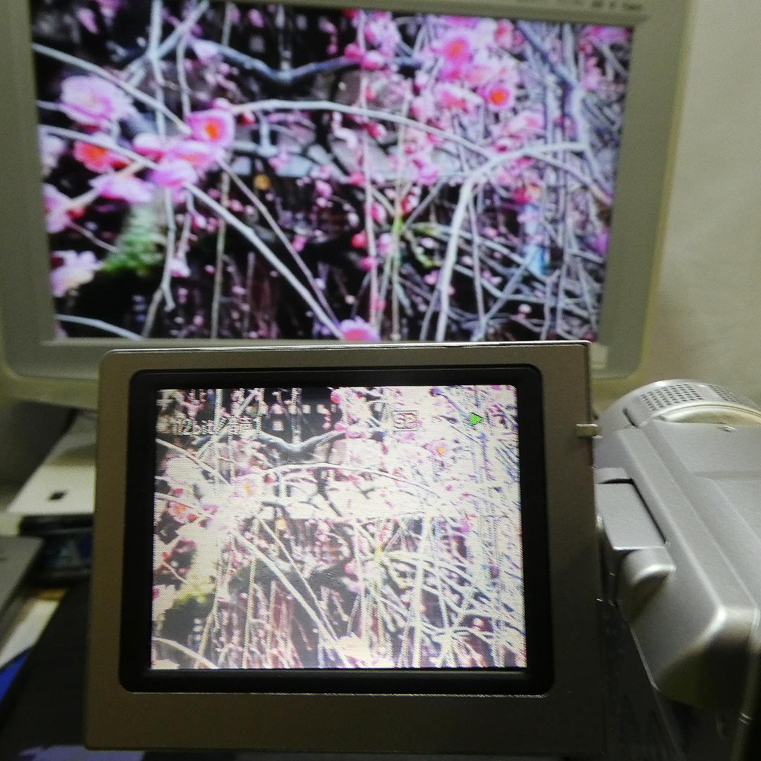 動作品ビクターGR-DX300K MiniDVビデオカメラ DVDダビングに最適