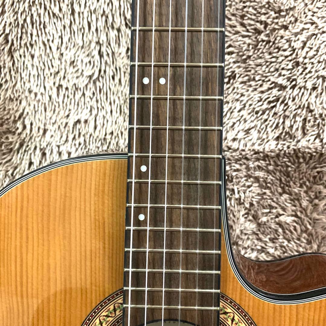 外観美品・ジャンク】アイバニーズ GA-30TCE/NT エレガットギター