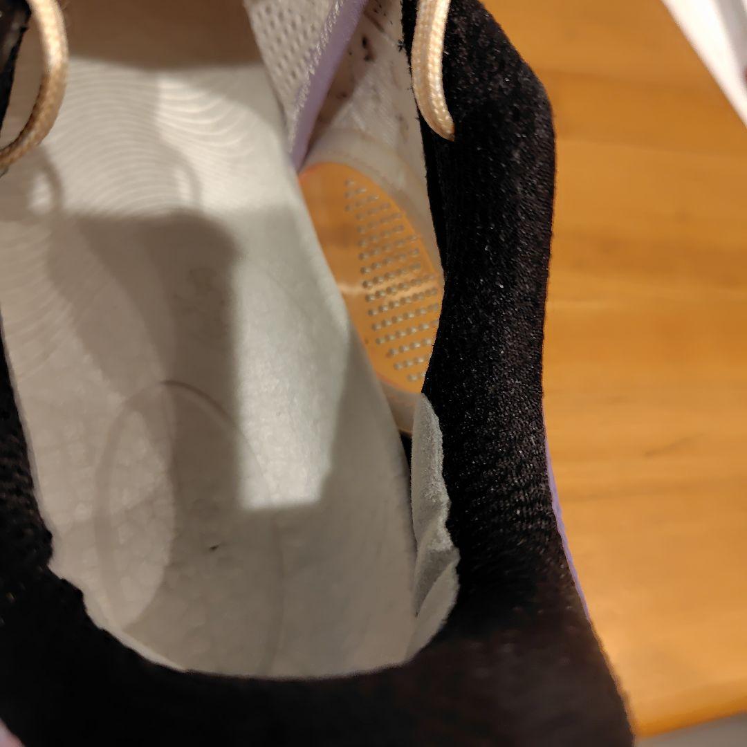 リーニンWay Of Wade 808 ウルトラ「朝焼け」 28.5cmUS11