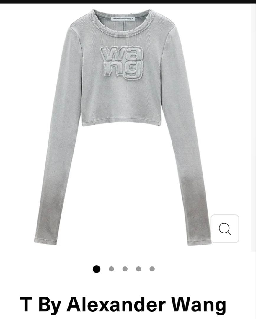 長袖 Alexander Wang(アレキサンダーワン) Tシャツ・カットソー