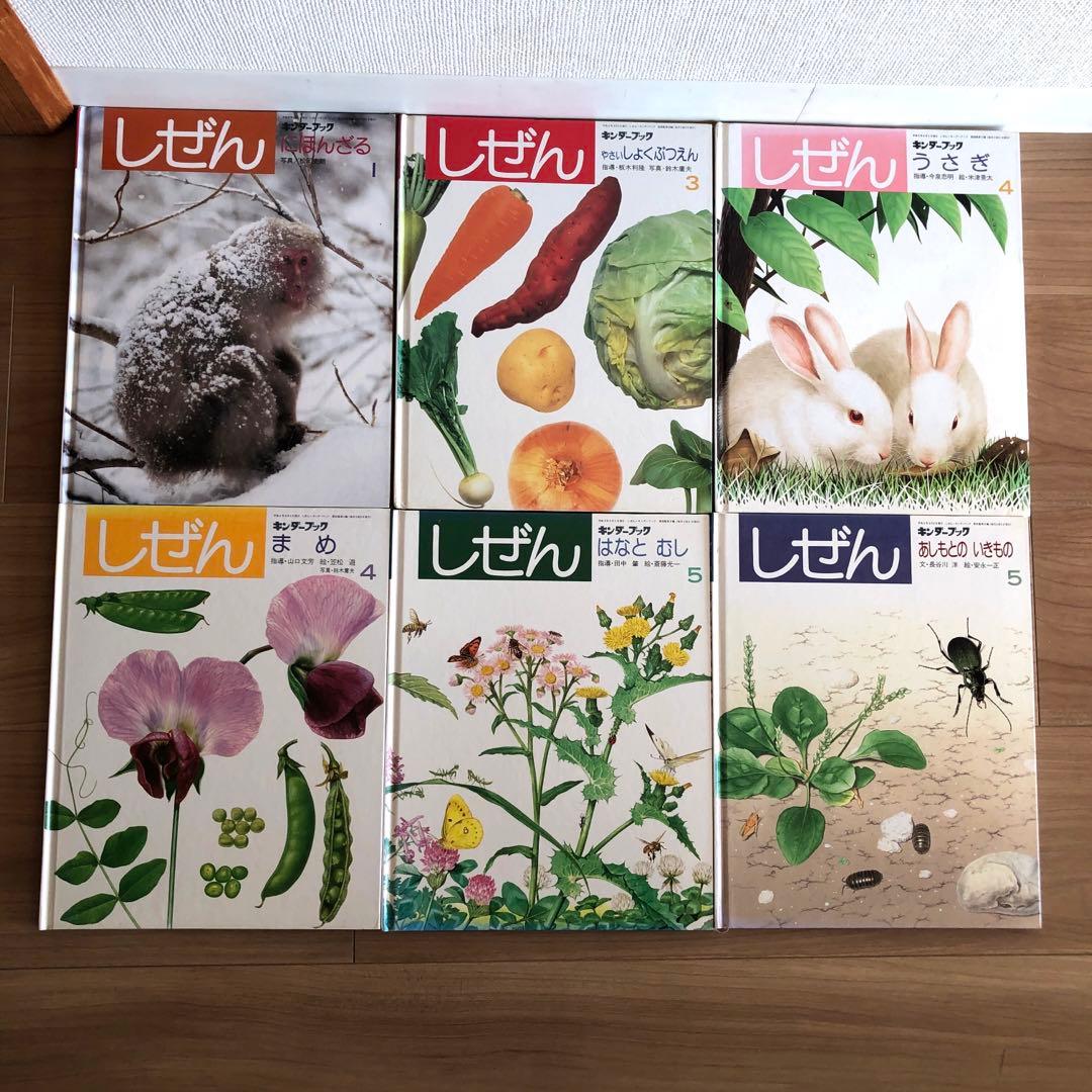 フレーベル館 キンダーブック 「しぜん」12冊 - メルカリ