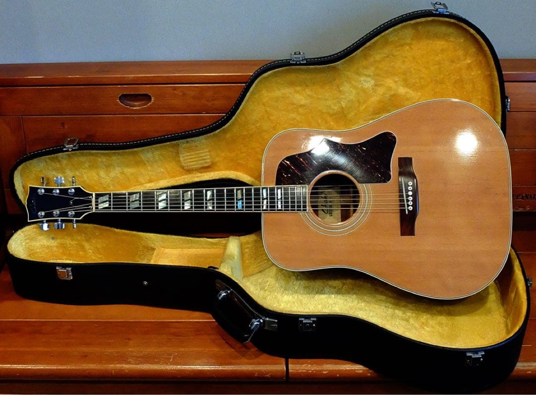 Chaki W-50 茶木弦楽器製作所 70年代 瀑鳴り 超希少 - メルカリ