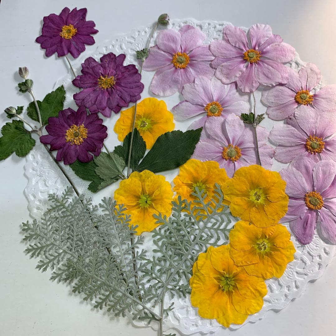 チョコ様 リクエスト 2点 まとめ商品 - メルカリ