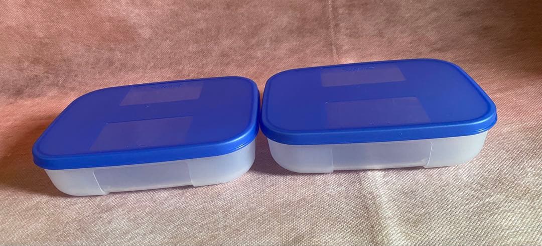 タッパーウエア フリーザーメイト M #1 ×2個セット 青シール - メルカリ