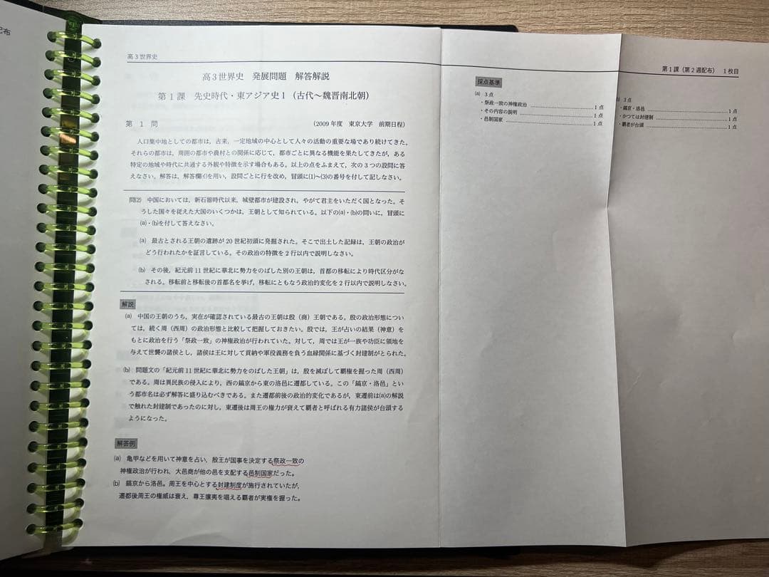 最新版】鉄緑会 高3世界史 通年授業冊子/テスト類セット - メルカリ