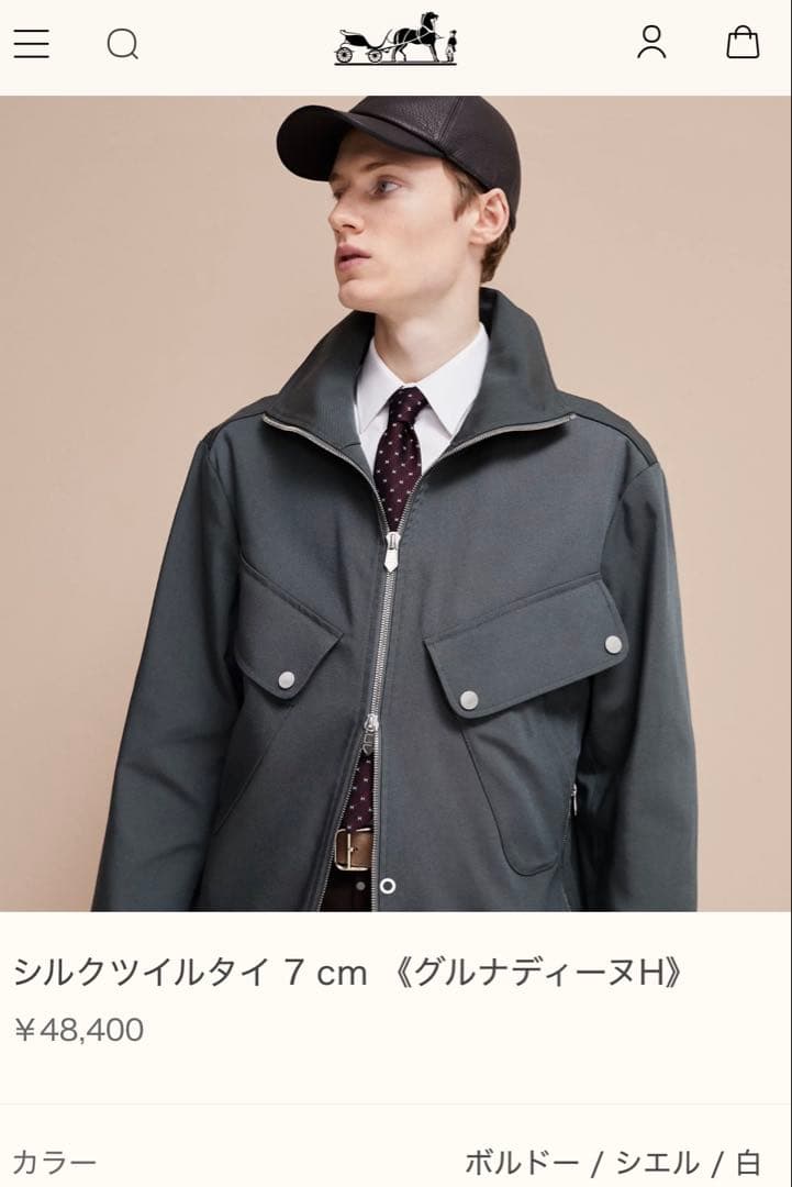 専用です。　　エルメス ネクタイ 《グルナディーヌH》 新品 未使用