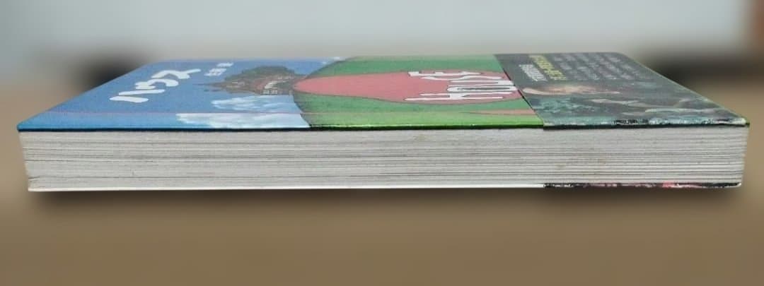 ハウス HOUSE 佐藤肇 帯付 ノベライズ 大林宣彦 激レア