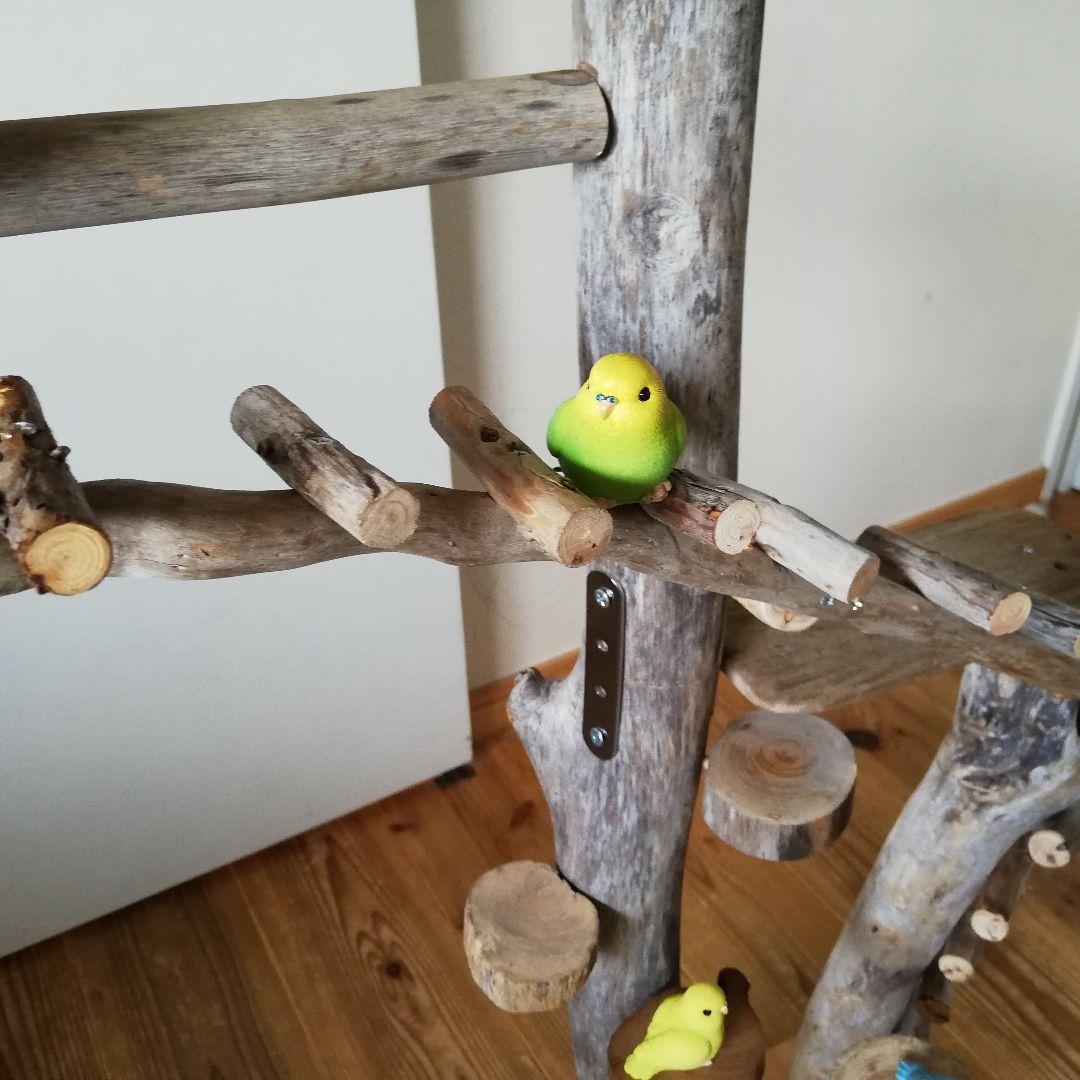 バードアスレチックジム大型 ㉝ 天然木 自然木 流木 止まり木 インコ