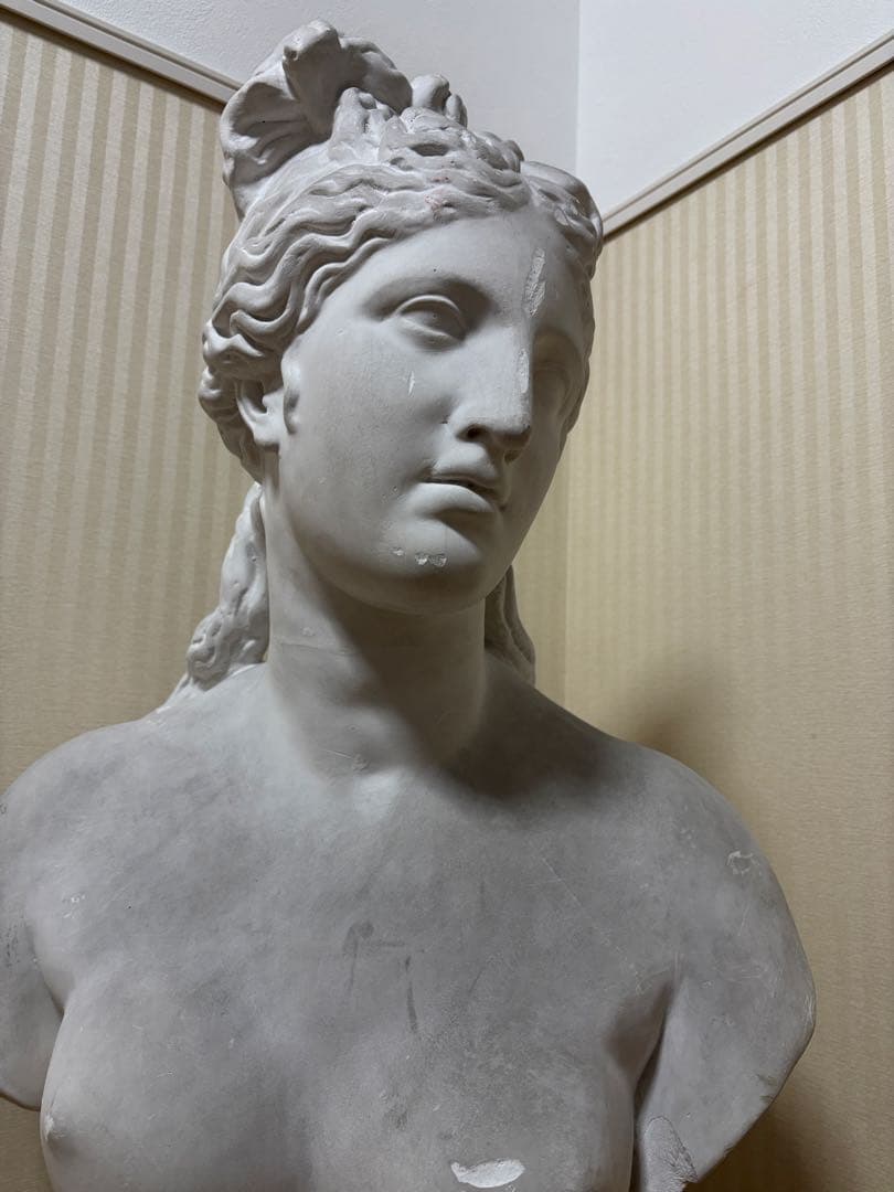 石膏像 カピトリーノのヴィーナス胸像(カッパ) 大型 - メルカリ