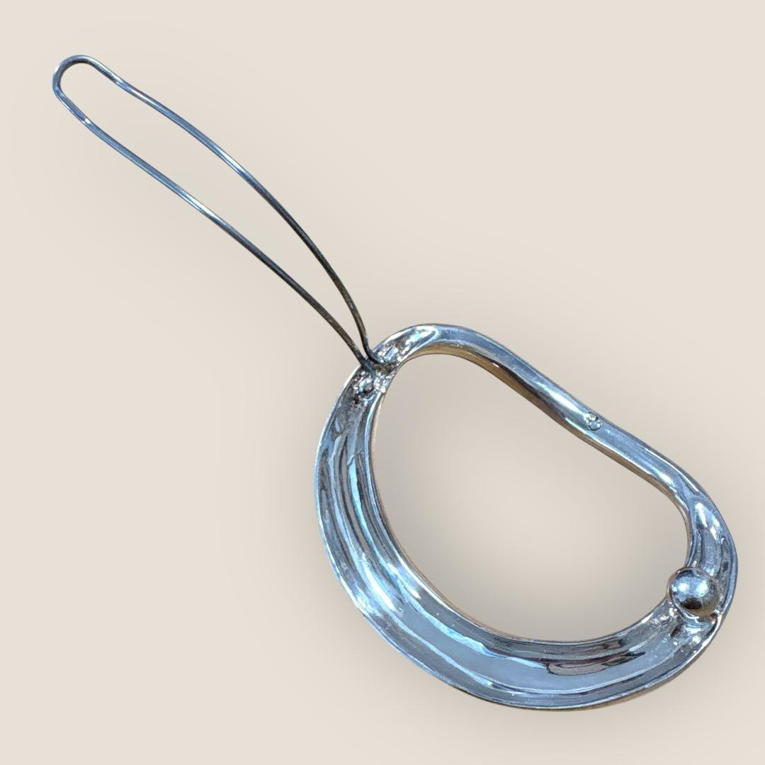 Charlotte Chesnais TURTLE ヘアクリップ - メルカリ