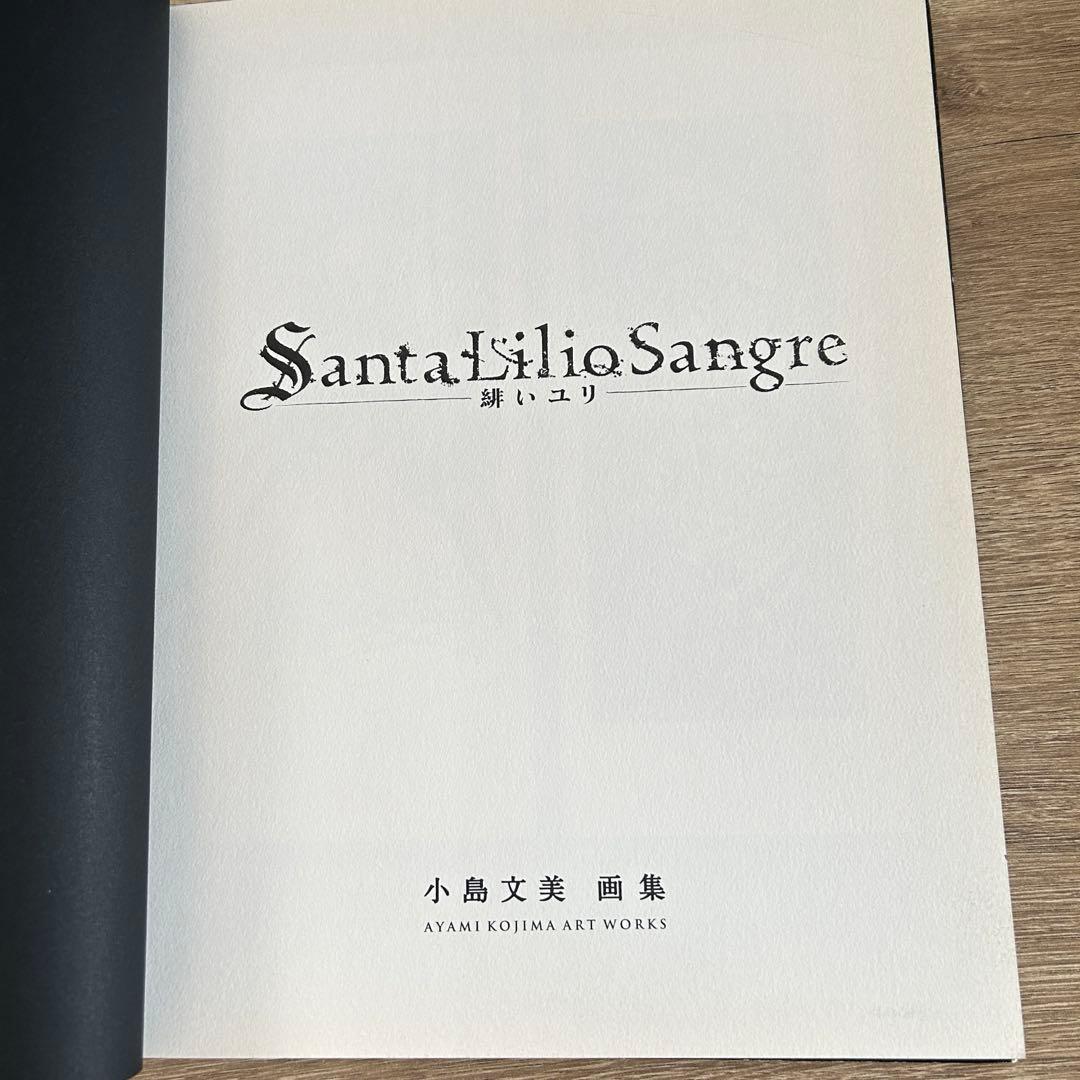 小島文美　画集　Santa Lilio Sangre　〜緋いユリ〜