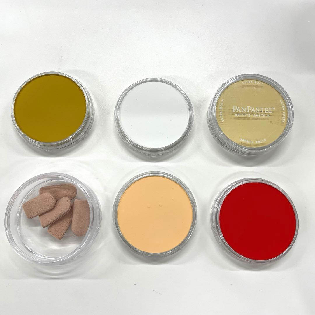 PanPastel パンパステル 20色セット - メルカリ