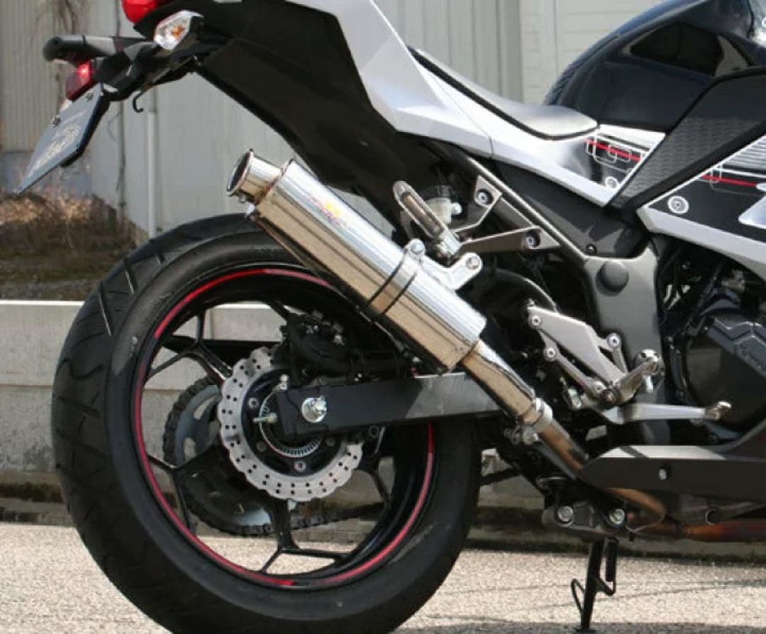 Realize カワサキ ニンジャ250 Aria カール(TypeC)マフラー - メルカリ