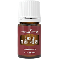Sacred Frankincense Essential Oil | Essential Oil & Aromatherapy