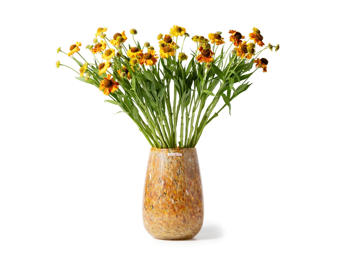 Henry Dean V.Stromboli S / ヘンリーディーン V.ストロンボリ S