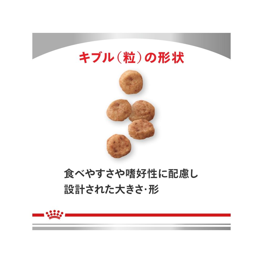 犬用 低分子プロテイン 小型犬用 3㎏